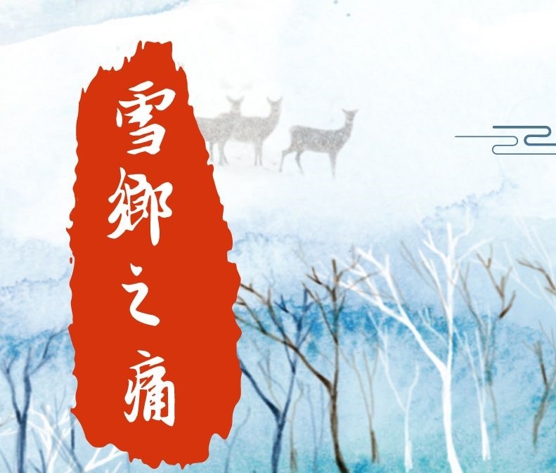 把輿情防控擺在第一位？雪鄉事件暴露出旅游品牌建設短板