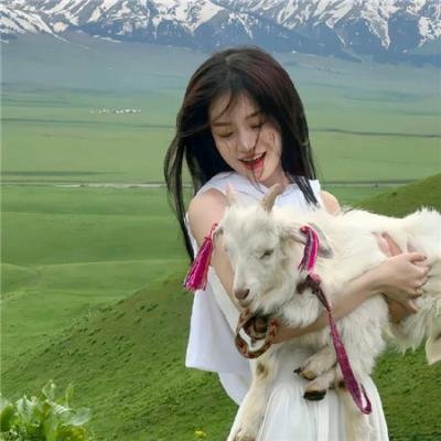 半山航线·终章